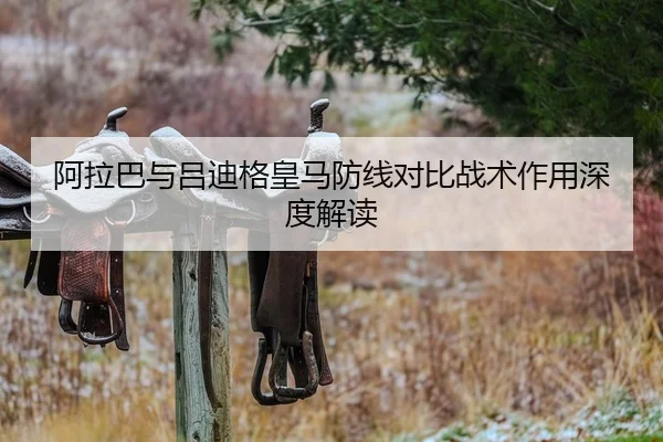 阿拉巴与吕迪格皇马防线对比战术作用深度解读